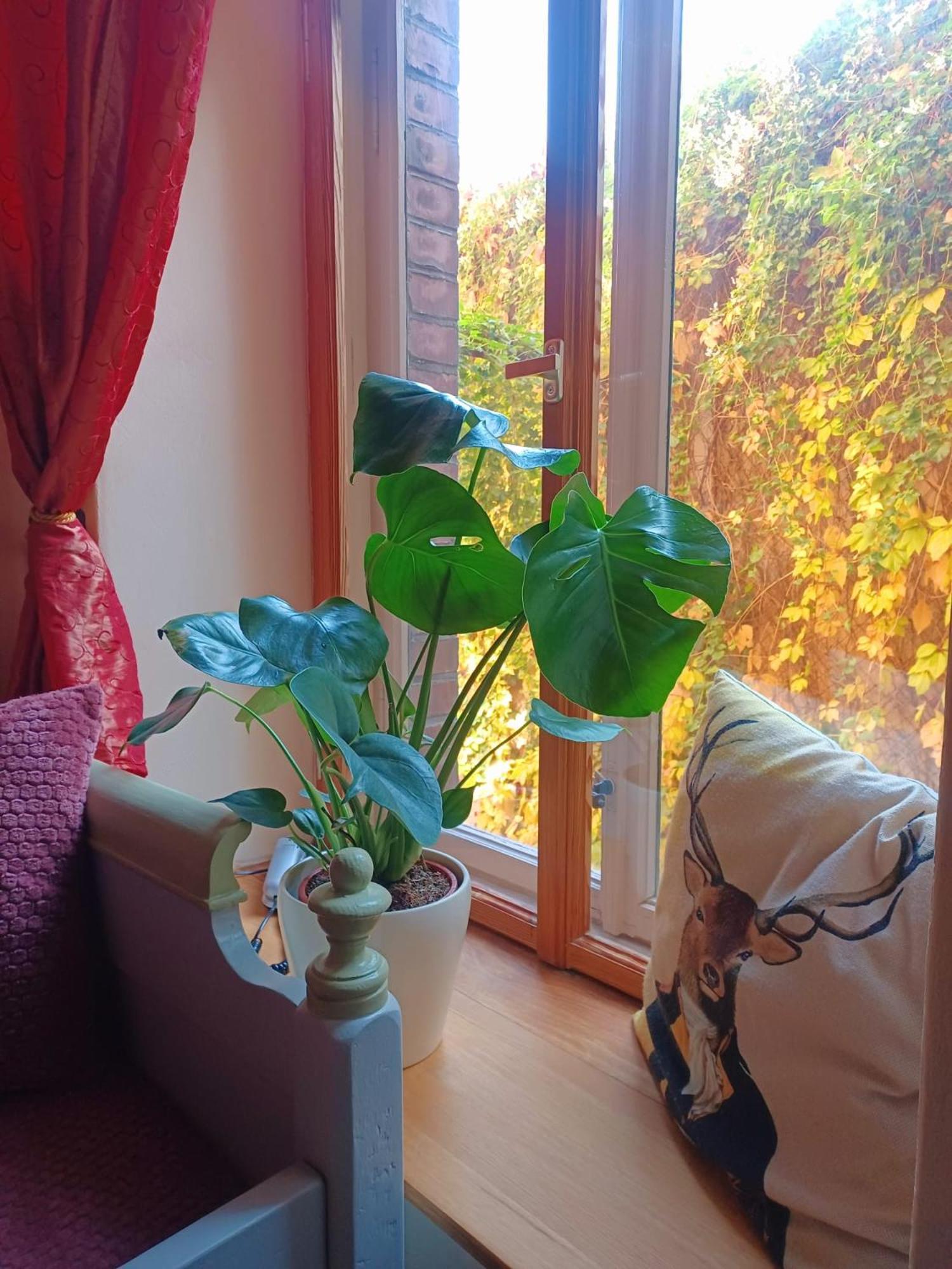 Ferienwohnung Antik Gotha Exteriér fotografie