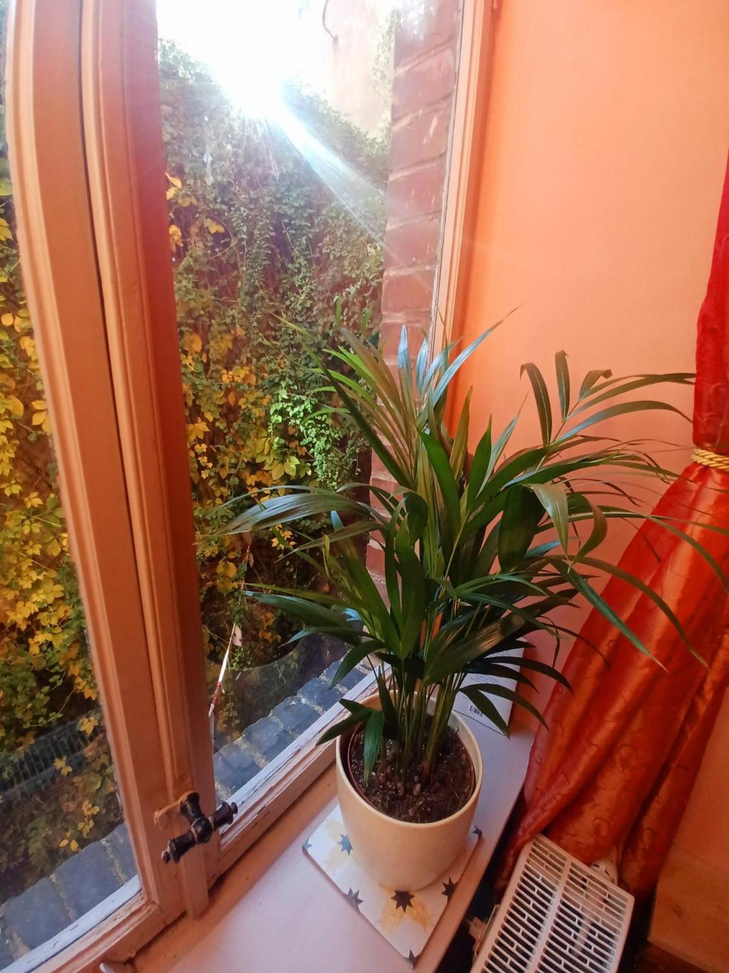 Ferienwohnung Antik Gotha Exteriér fotografie